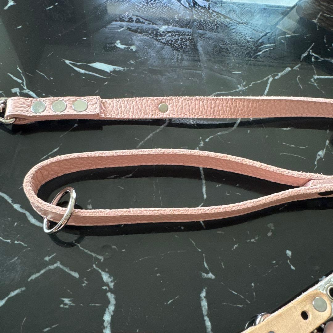 ❁ Lav ❁ バディーベルト　 ハーネスとリード ４点セット