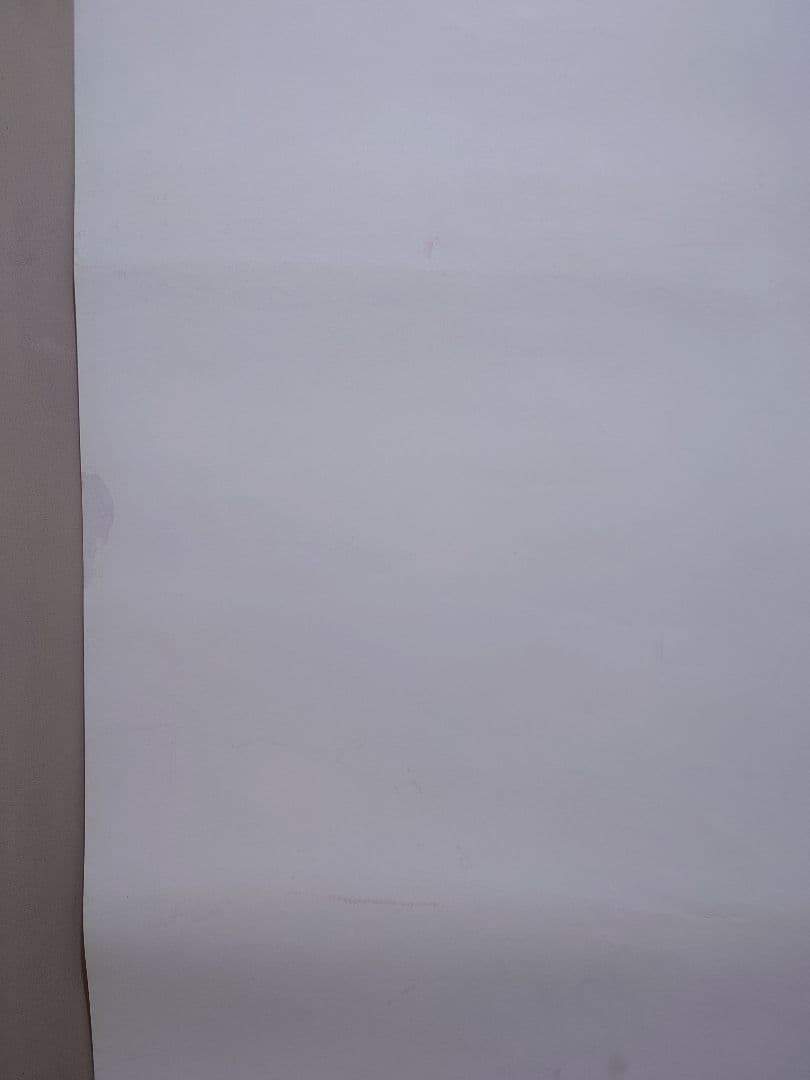 【レア】ONE PIECE　ワンピース　オマツリ男爵と秘密の島　ポスター　東映