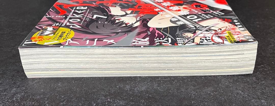 ●月刊ガンガンjoker 2014年 7月号 ●アカメが斬る! ブックカバー付き