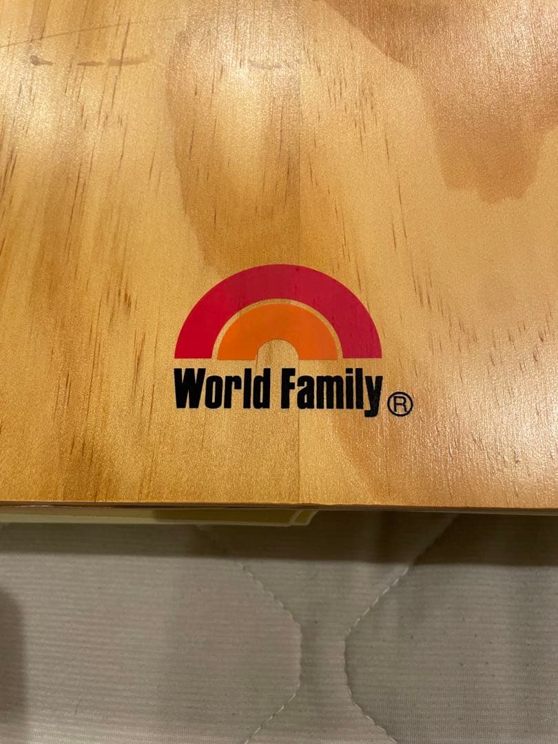 Disney's World of English DVDセット