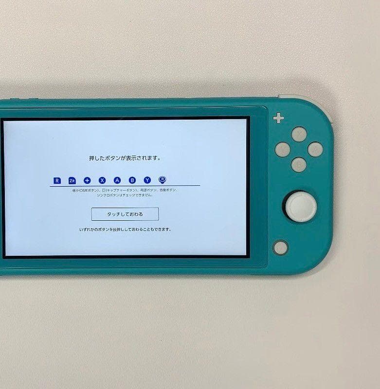 Nintendo Switch Lite 本体 動作品 2019 おまけ付き