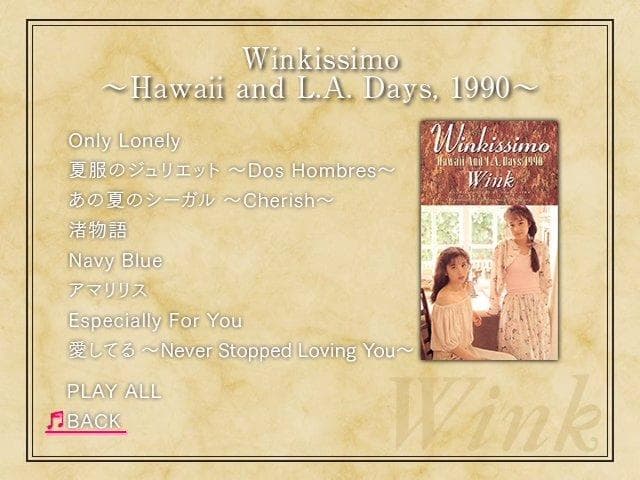 Wink Performance&Visual Memories 2作品セット