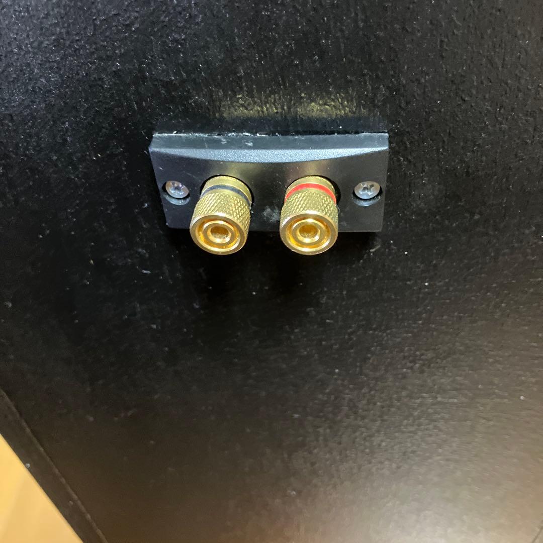 バックロードホーン