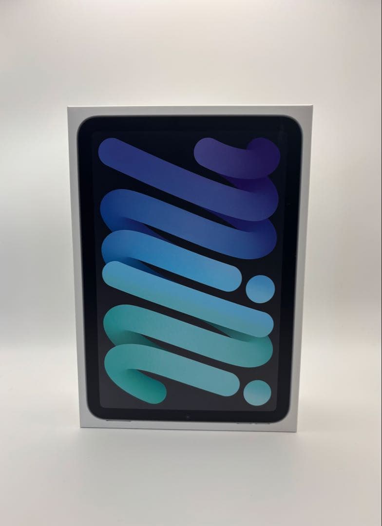 iPad mini 6 64GB Wi-Fi 美品 Apple 本体 即発送