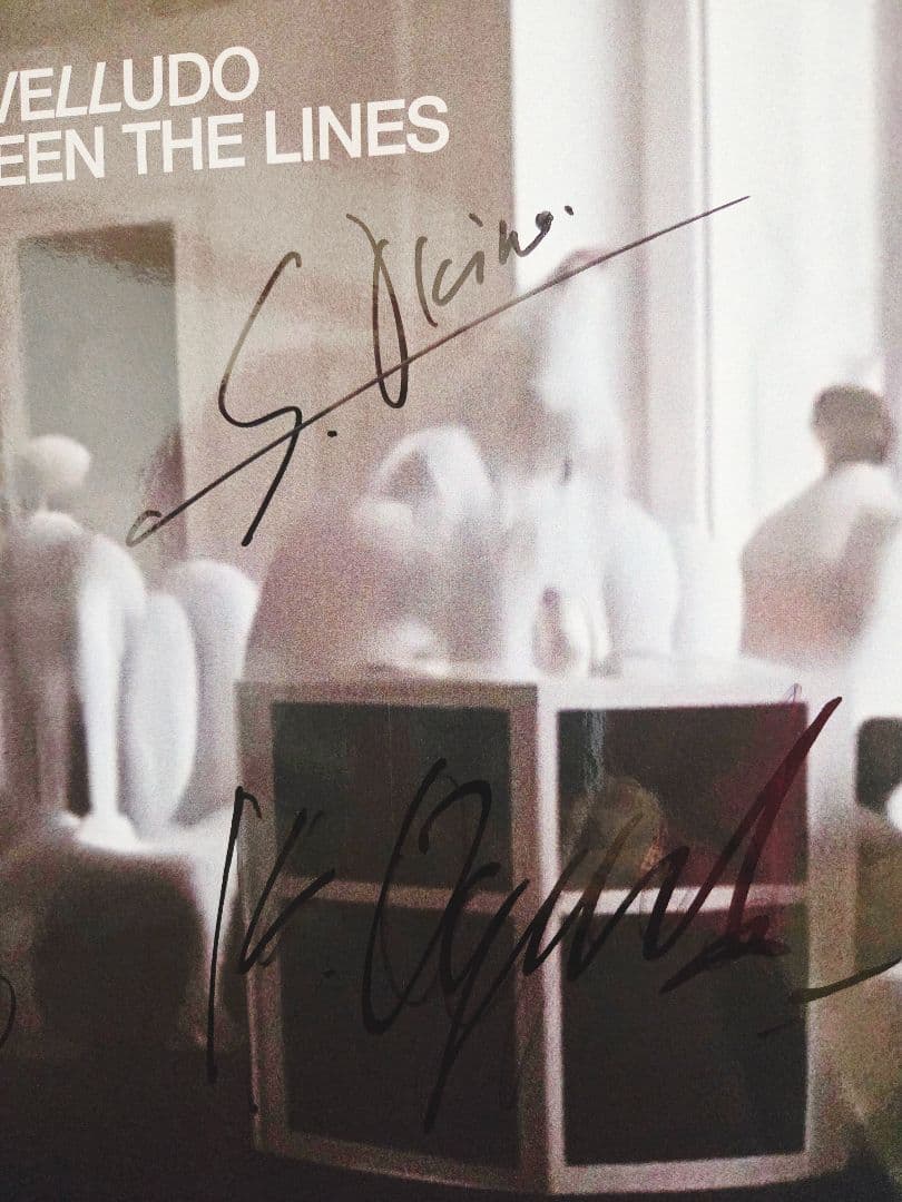 サイン入り!新品未使用! VELLUDO BETWEEN THE LINES