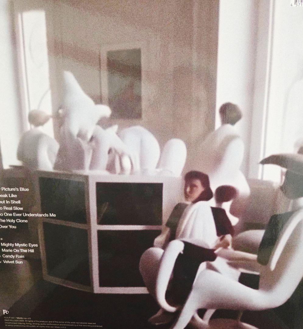 サイン入り!新品未使用! VELLUDO BETWEEN THE LINES