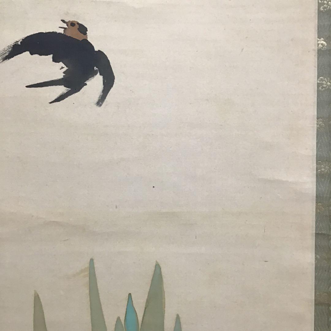 K茶道具　掛軸　杜若(かきつばた)　小寺雲洞作(明治ー昭和)共箱　S1014KJ