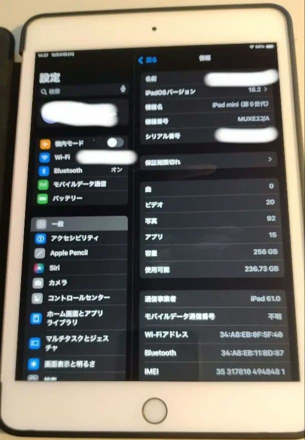 【美品】256GB ipadmini 第5世代 WiFi+cellular