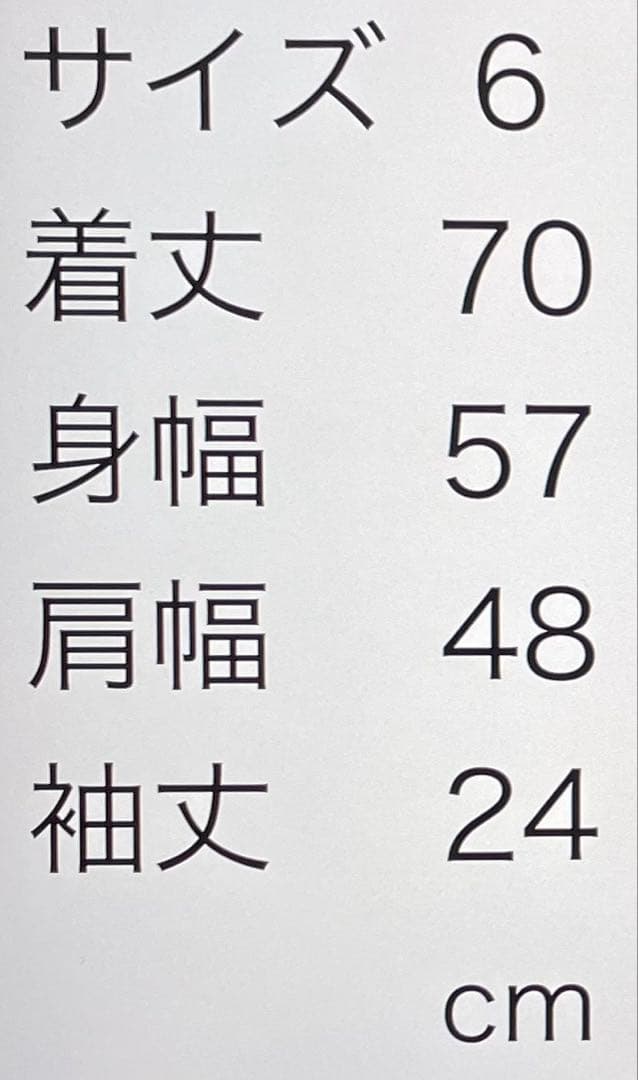 ラコステ　L1212 ポロシャツ　ネイビー　7