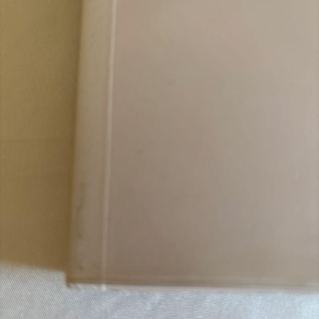 エリザベス　ペイトン　写真画集　prince eagle