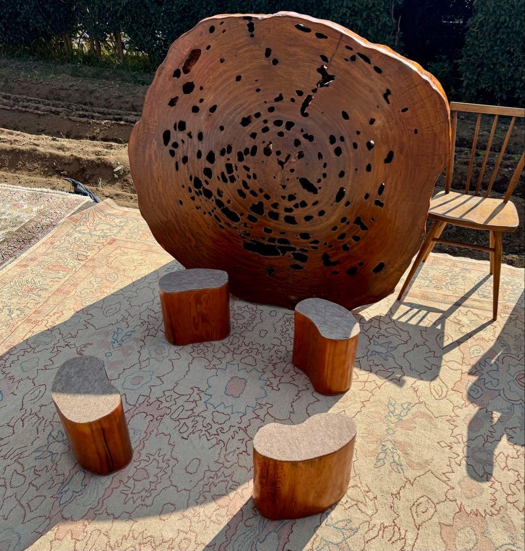 年輪ぎっしり！希少な屋久杉の輪切りの座敷机 厚み17cm！座卓