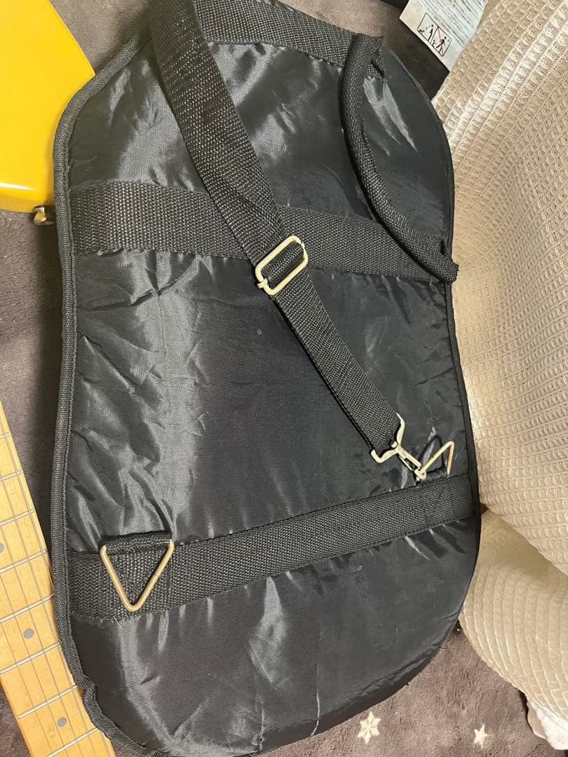 Bacchus テレキャスター　バタースコッチブロンド