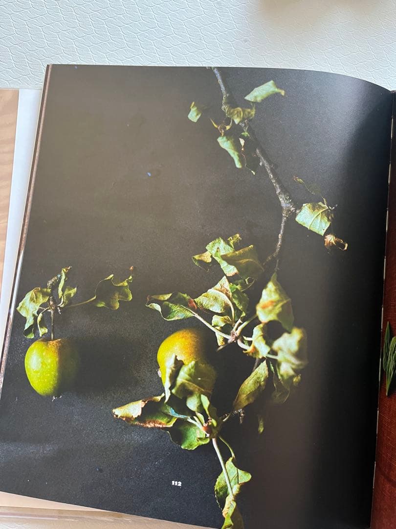 NOMA ノーマ 北欧料理の時間と場所