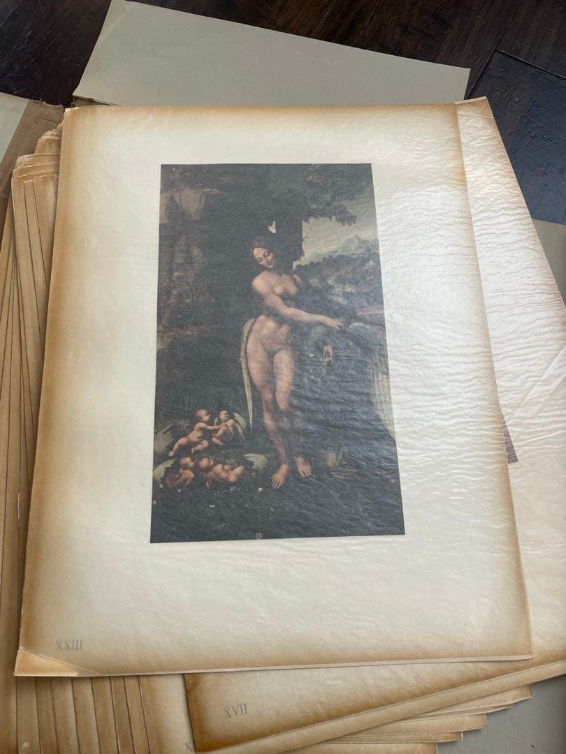 レオナルド・ダ・ヴィンチ 画集 ３０枚 作品集 絵画 資料 アート ダヴィンチ