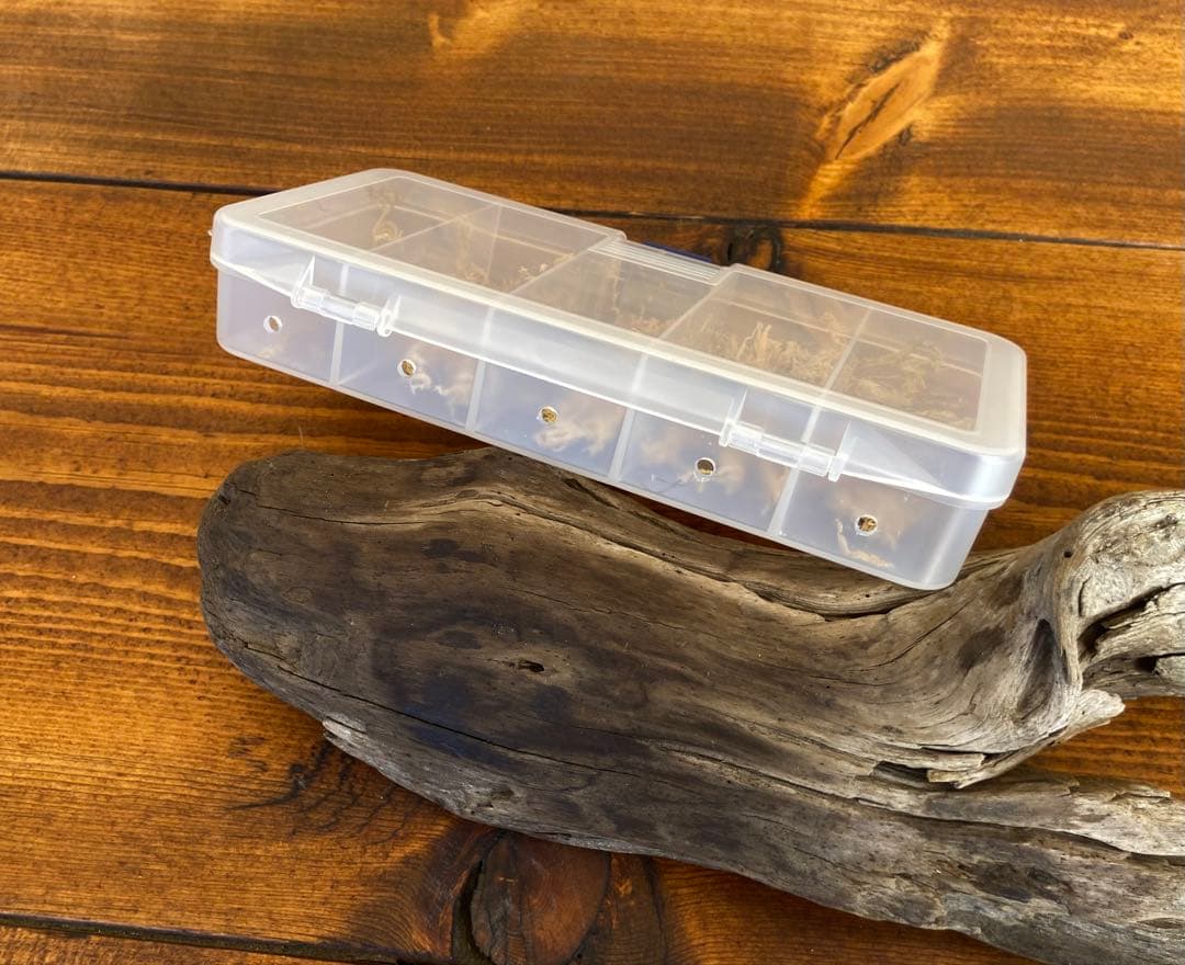 クワガタ採集セット　迷彩柄　オリジナル掻き出し棒　デジタルノギス　採集ケース