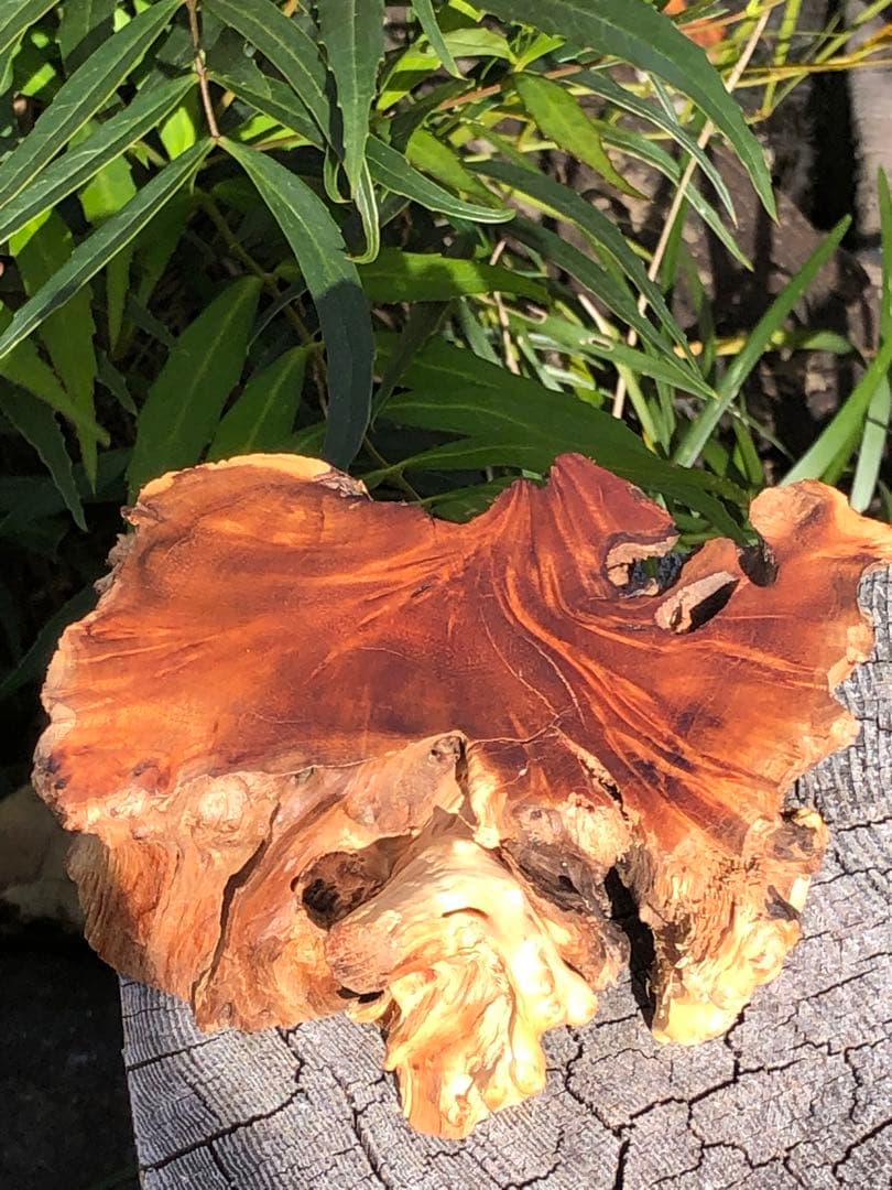 ❤️レア　買い得　50mm 最強財運超　強いパワー　ゴールドルチルクォーツ