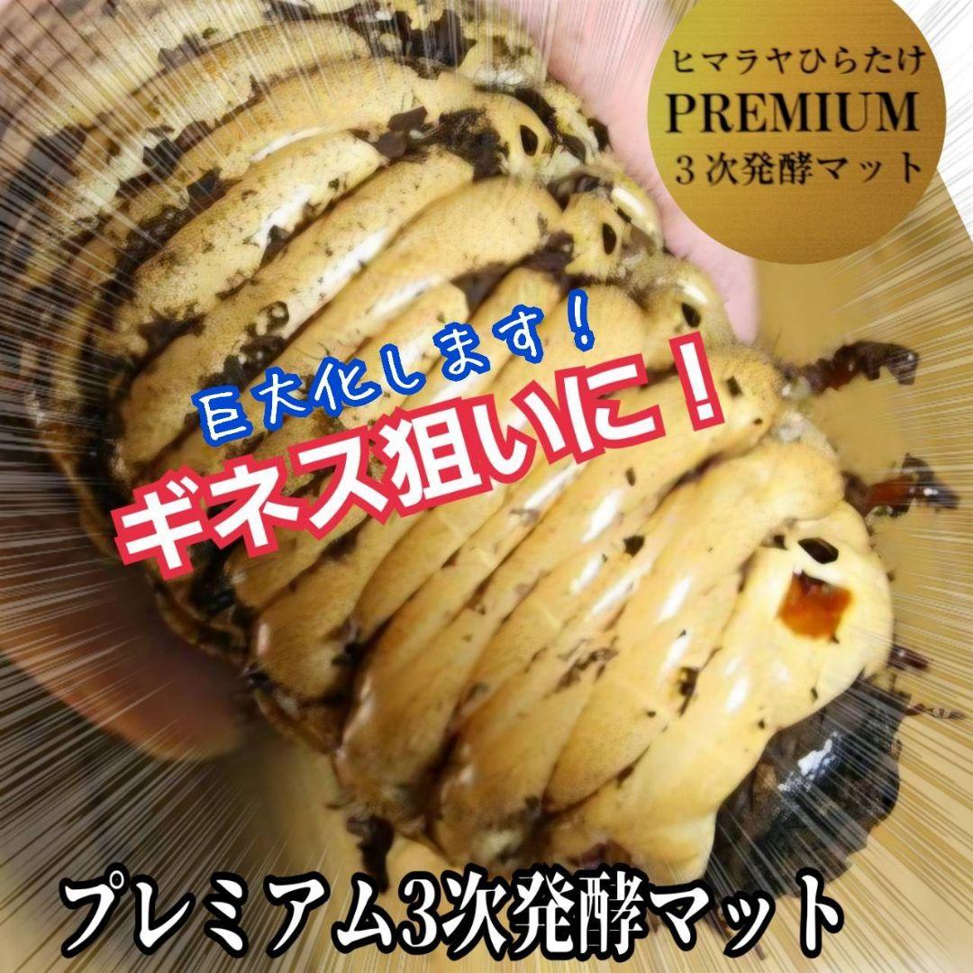 ヘラクレスが巨大化！プレミアム3次発酵カブトムシマット　60リットル　産卵にも！