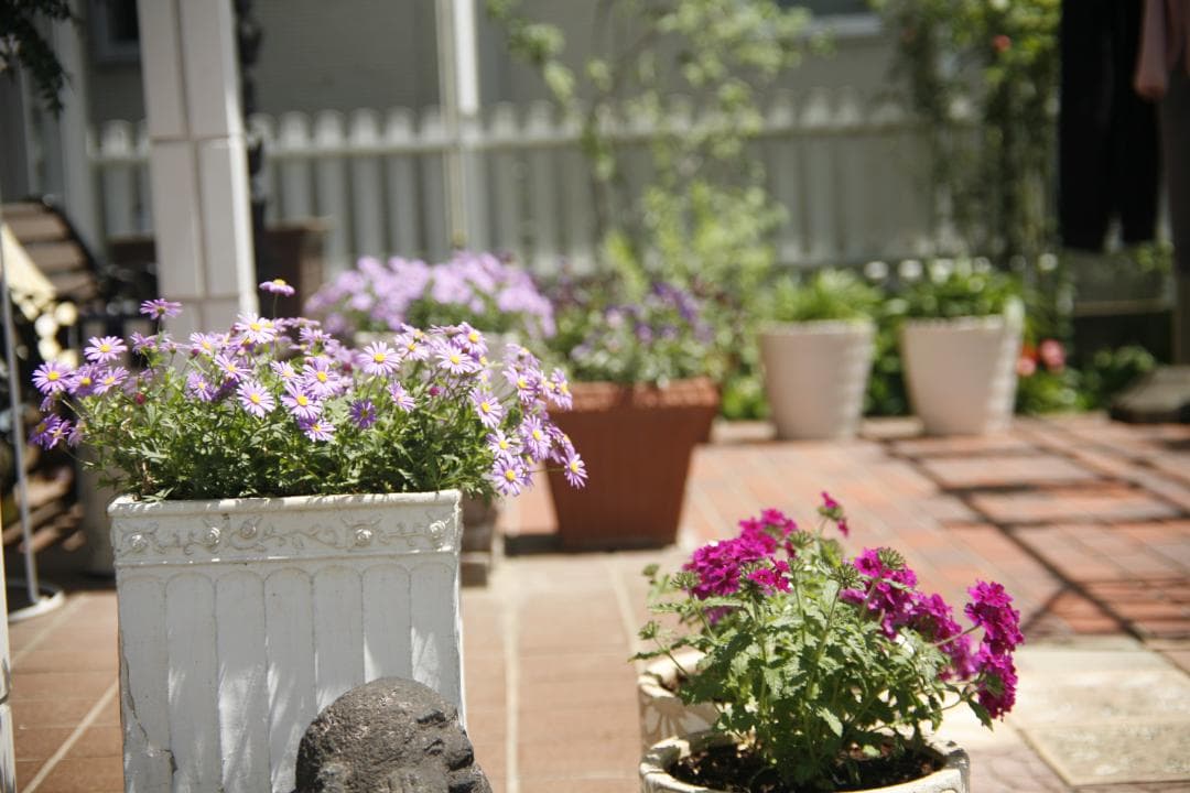 CANON 旧 FD 50mm f1.4 S.S.C.　 L93