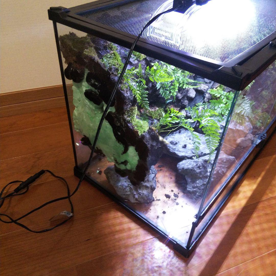 アクアテラリウム