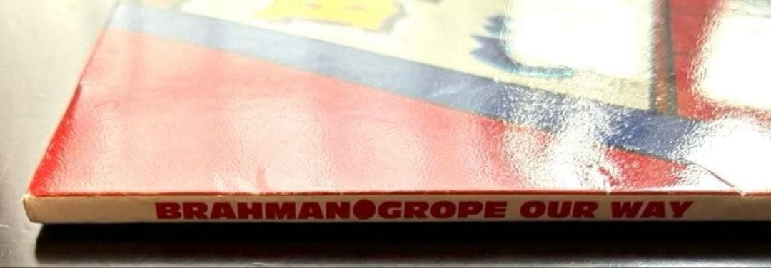 希少品【BRAHMAN】grope our way【ブラフマン】レコード【廃番品