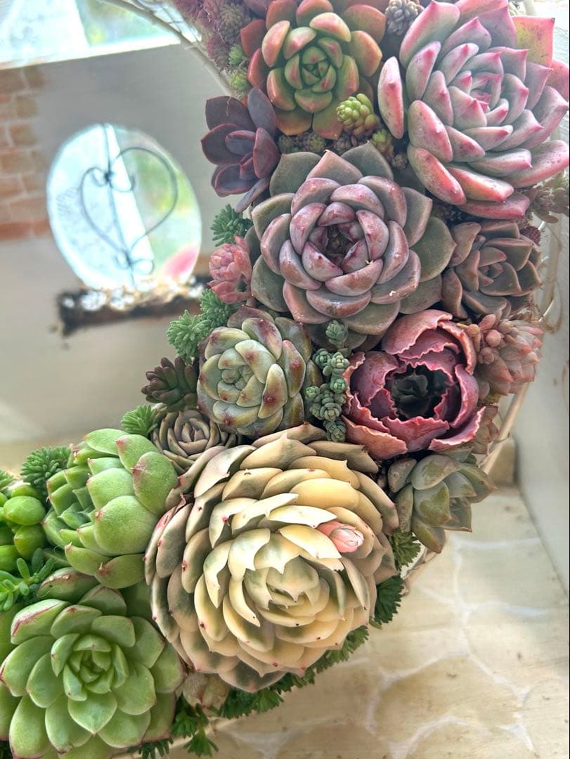 ❤️多肉植物そのまま飾れる❤️グラデーションリース❤️アイアンリース大きめ約35㎝