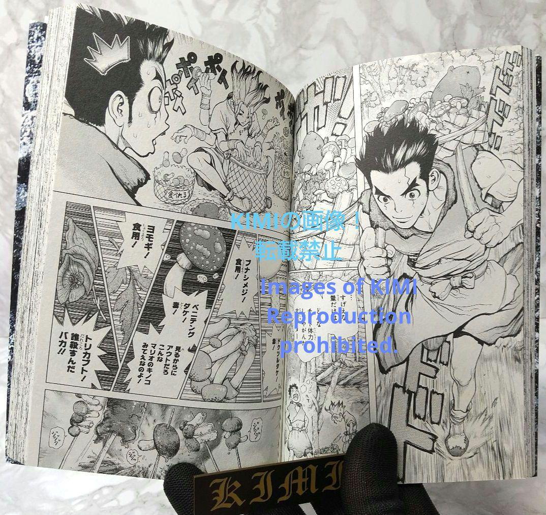 希少 初版 Dr.STONE 1 コミック 2017 Boichi,稲垣 理一郎