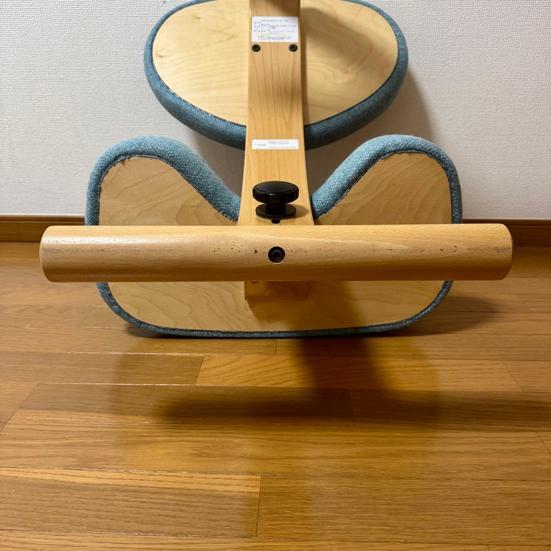 【minipham】 バランスイージー Rybo リボ社 カバー付き