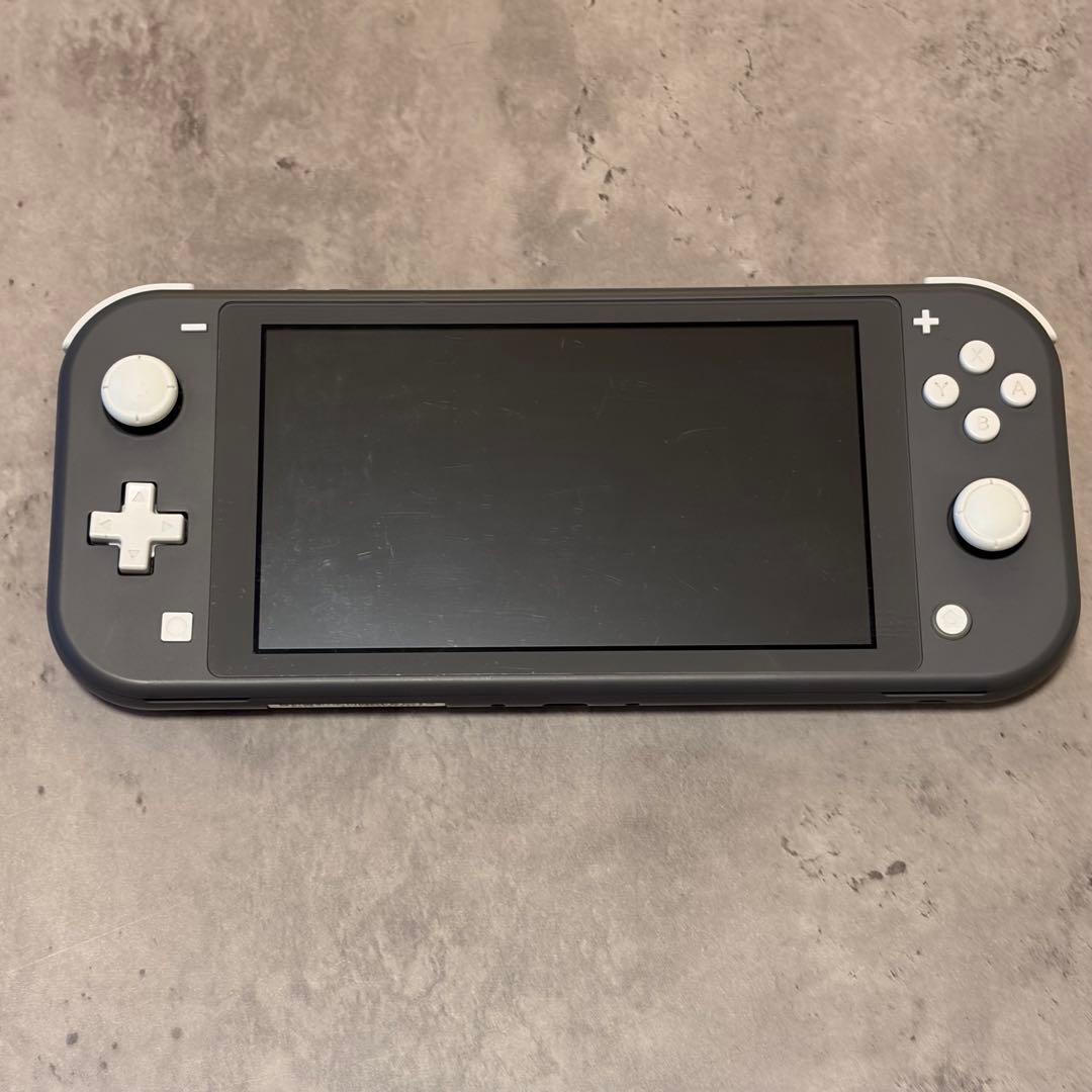 Nintendo Switch Lite グレー 専用ケース、充電器付