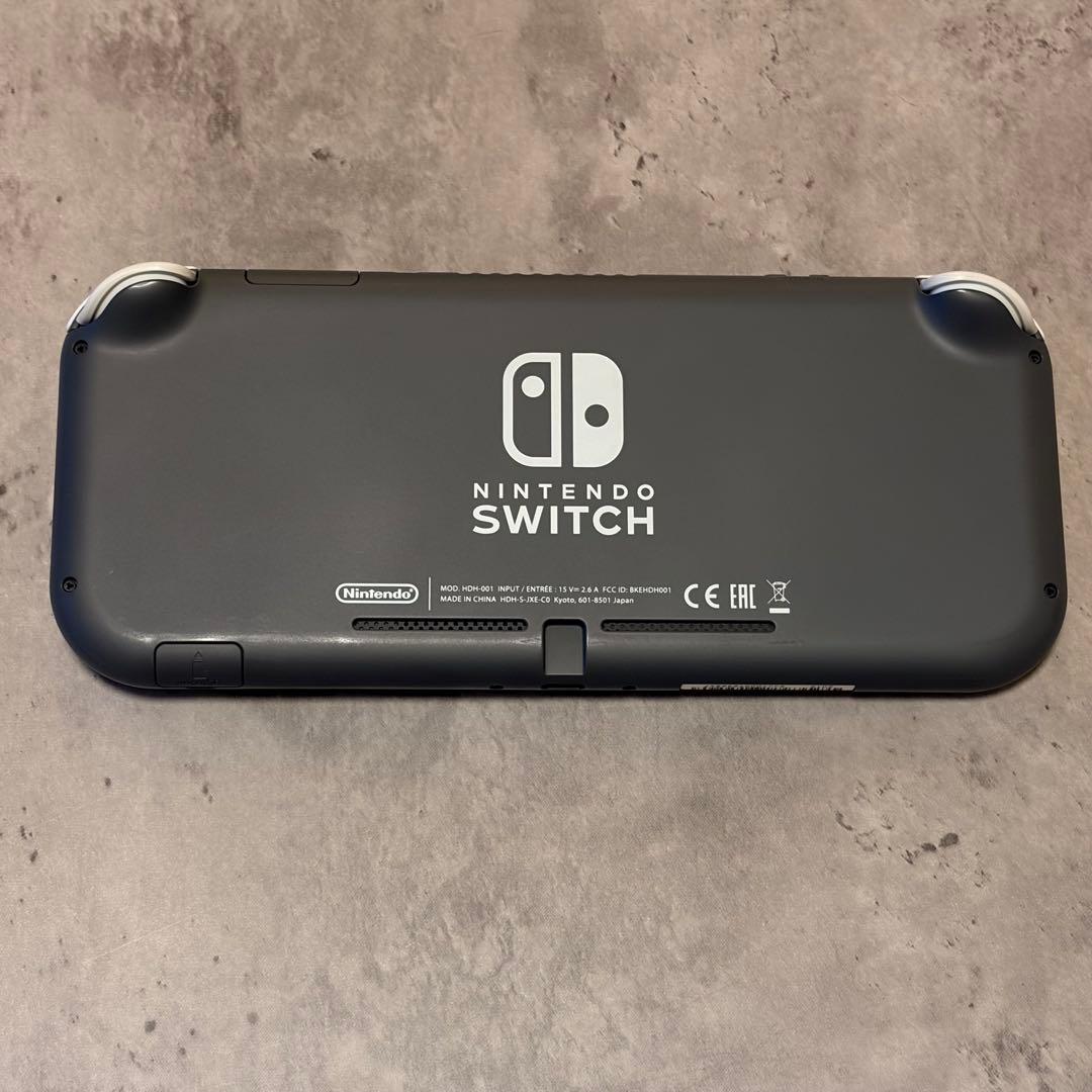 Nintendo Switch Lite グレー 専用ケース、充電器付