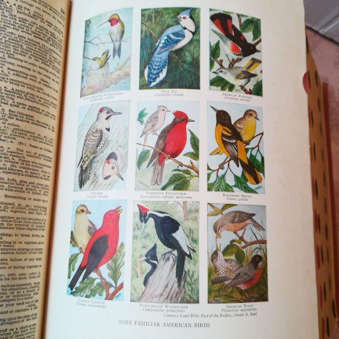 Webster’sNewTwentiethCenturyDictionary