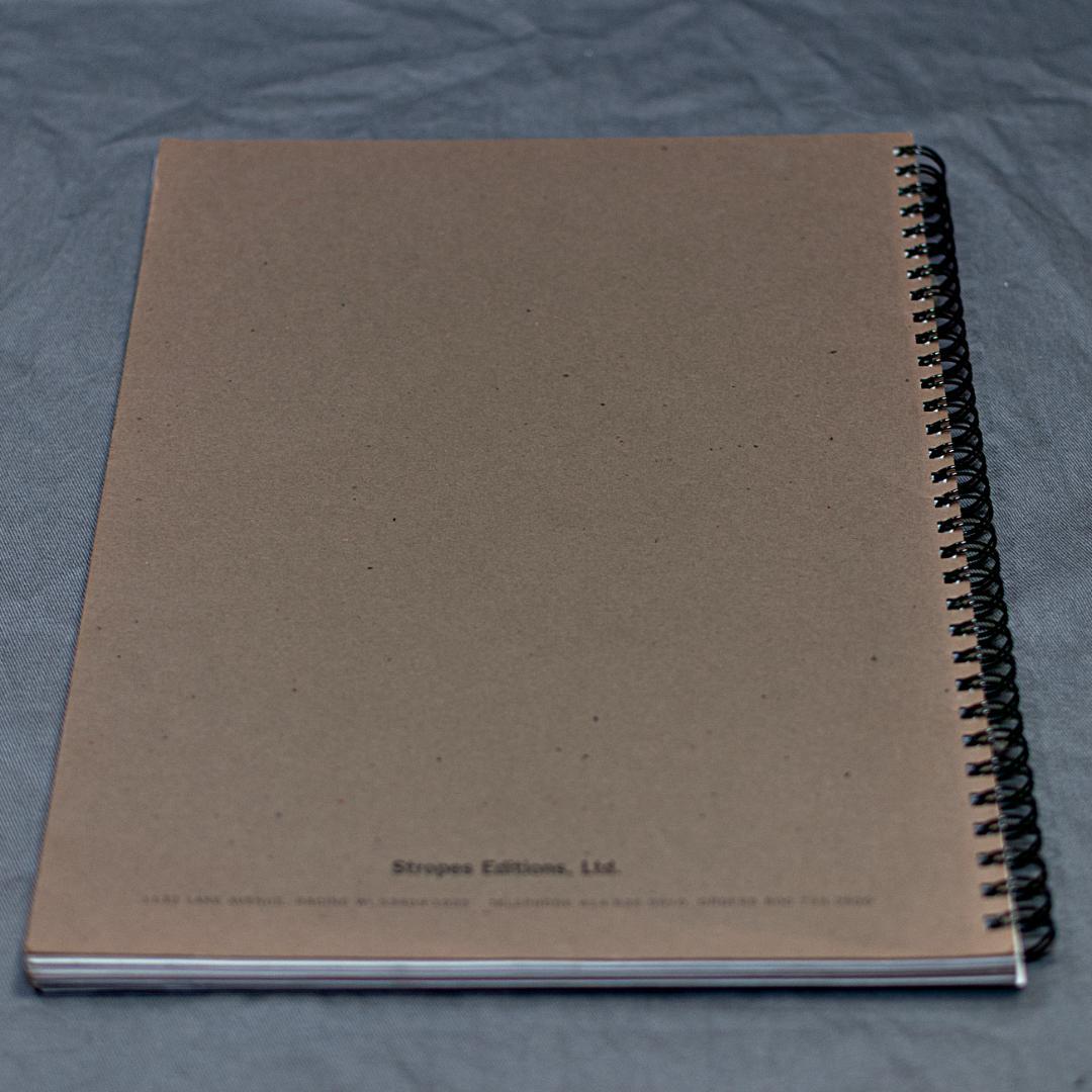 Rhythm Sonority Silence by マイケル・ヘッジス