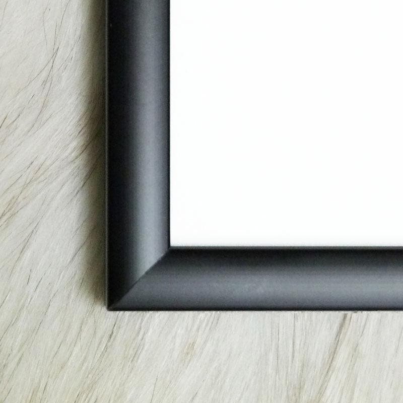 額装済/La planche a oeufs/アープ/ポスター/インテリア