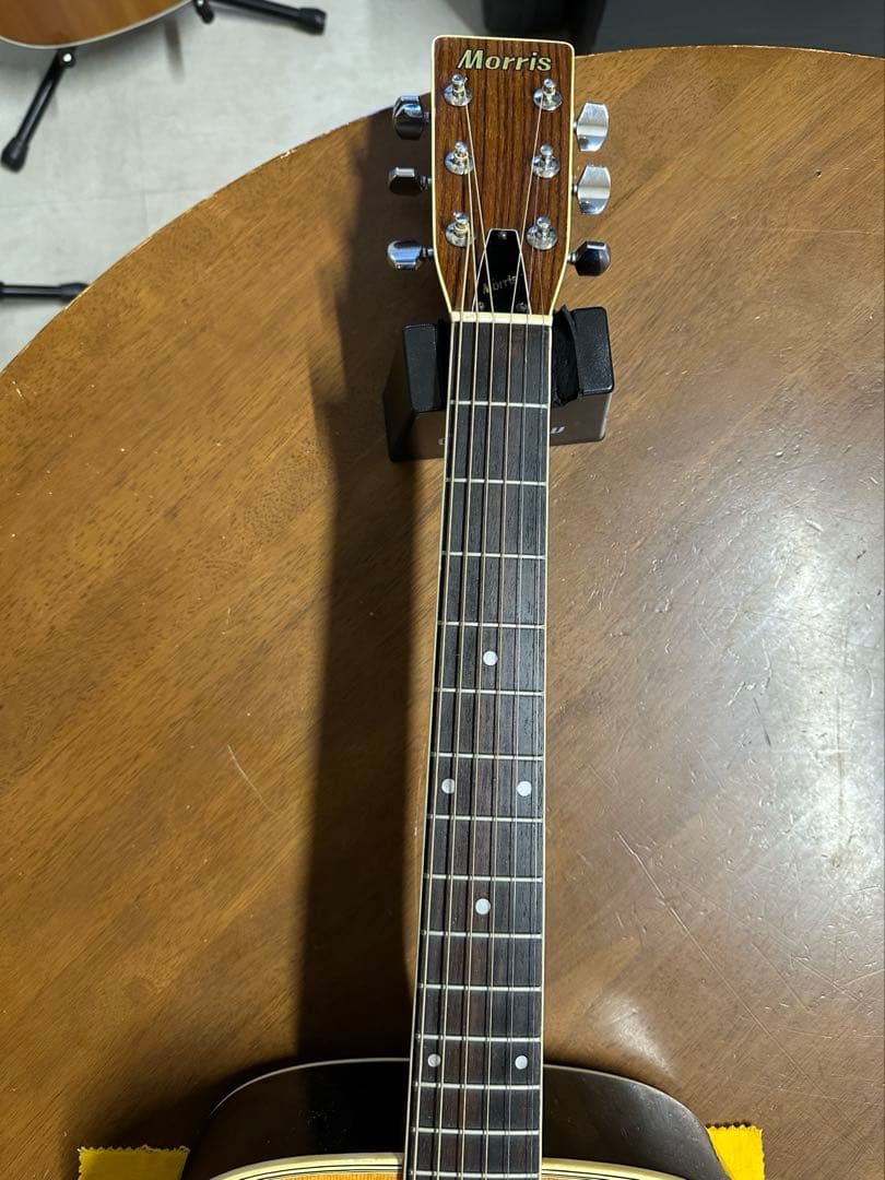 Morris(モーリス) F-20 King Gnu 常田大希氏使用モ