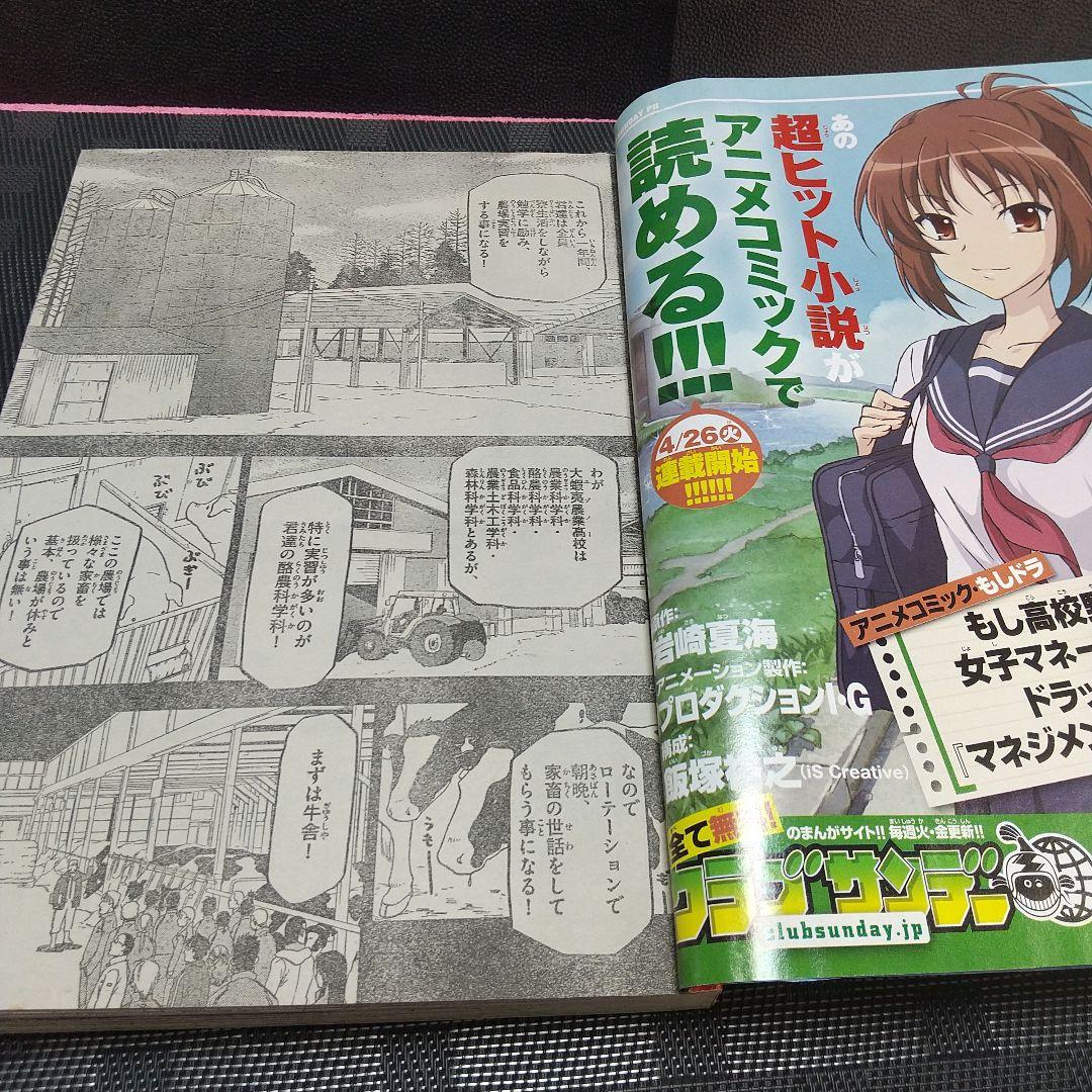 週刊少年サンデー 2011年19号※銀の匙 新連載 荒川弘※クリアファイル未開封