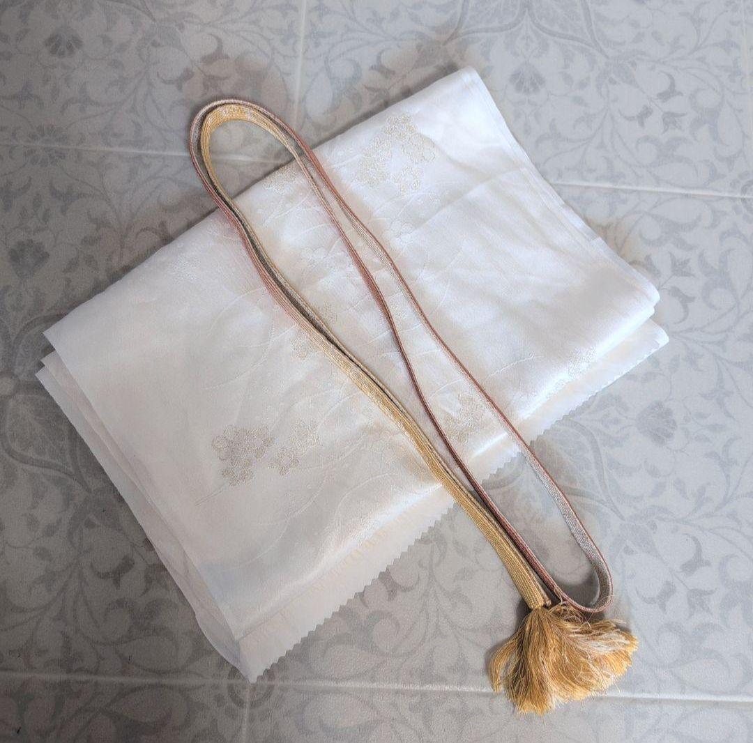 訪問着　フルセット　付け下げ　着物　正絹　まだら模様　落款　淡い　F5r