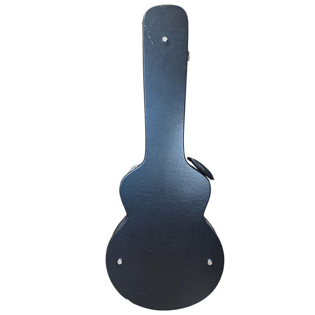 Epiphone Riviera Ⅱ Noel Gallagher エピフォン