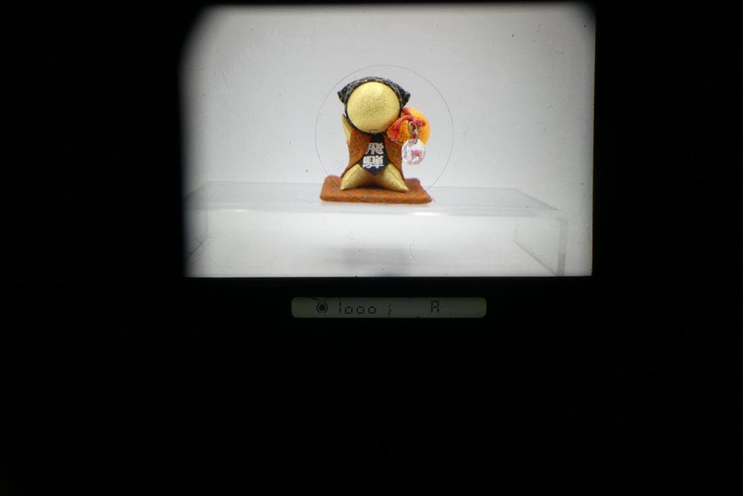 Nikon F4 E 一眼レフカメラ AF NIKKOR 28-70mm