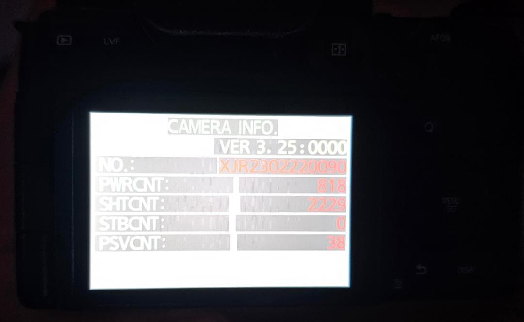 【ショット数2229】Panasonic LUMIX S5ii ミラーレスカメラ