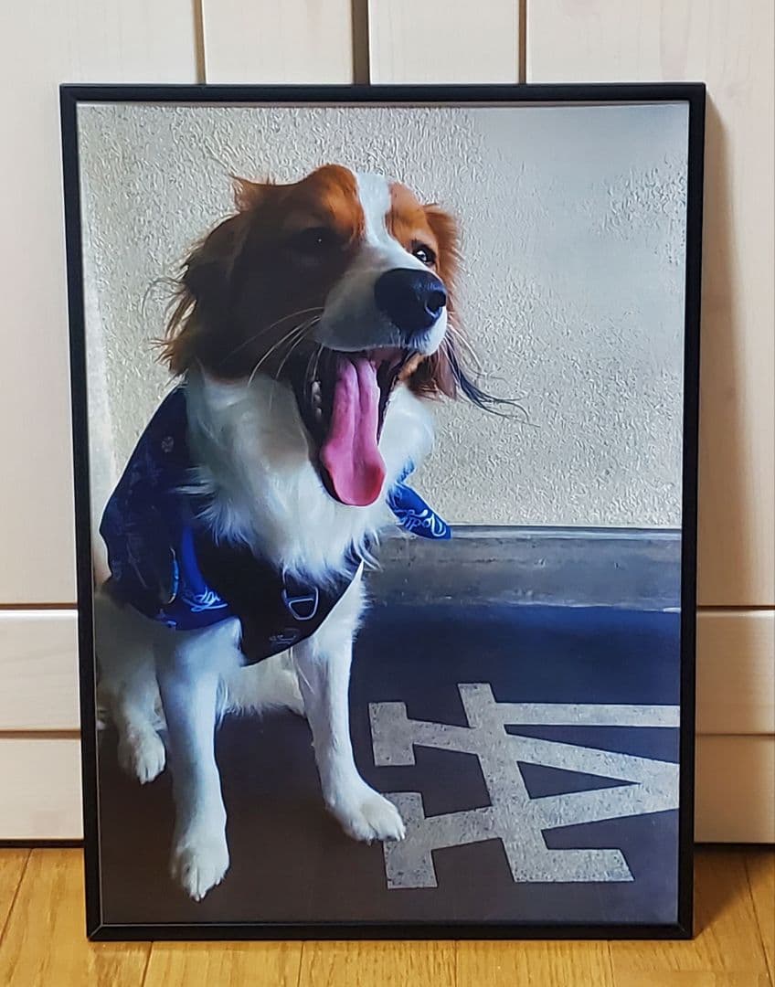 ベニー ドジャース大谷翔平 MLB！A3ポスターフレーム付き①セット