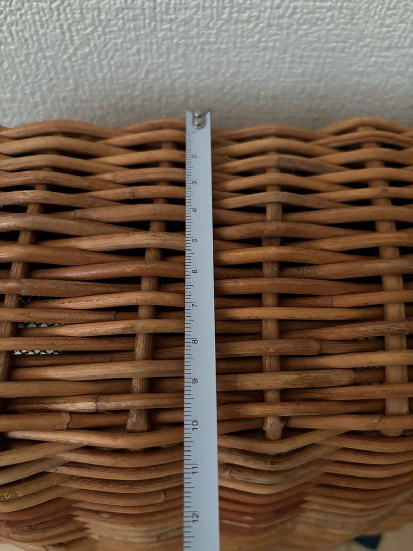 エバゴス　かごバッグ　革ハンドル