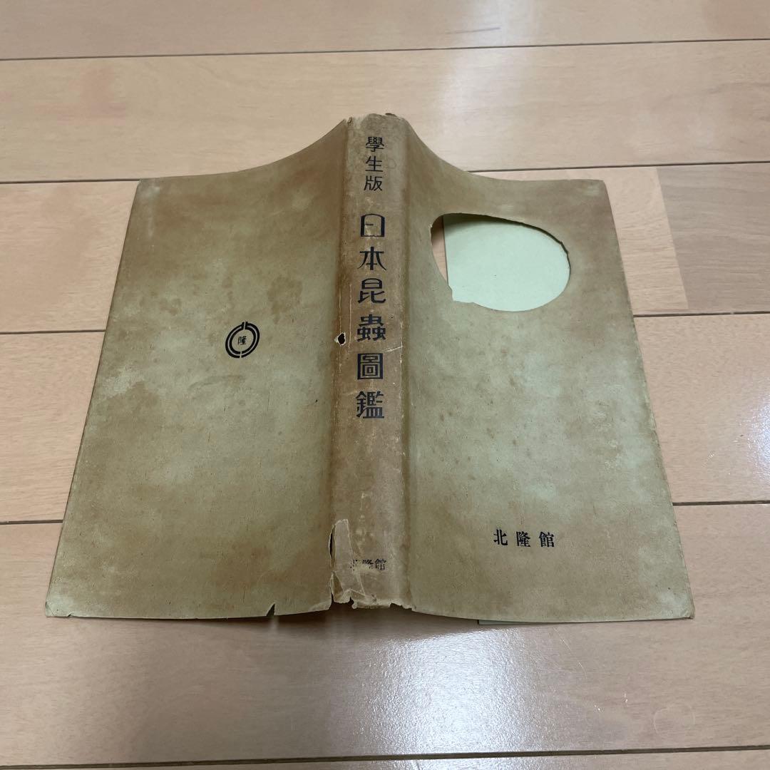 【希少】学生版 日本昆虫図鑑 昭和26年3月