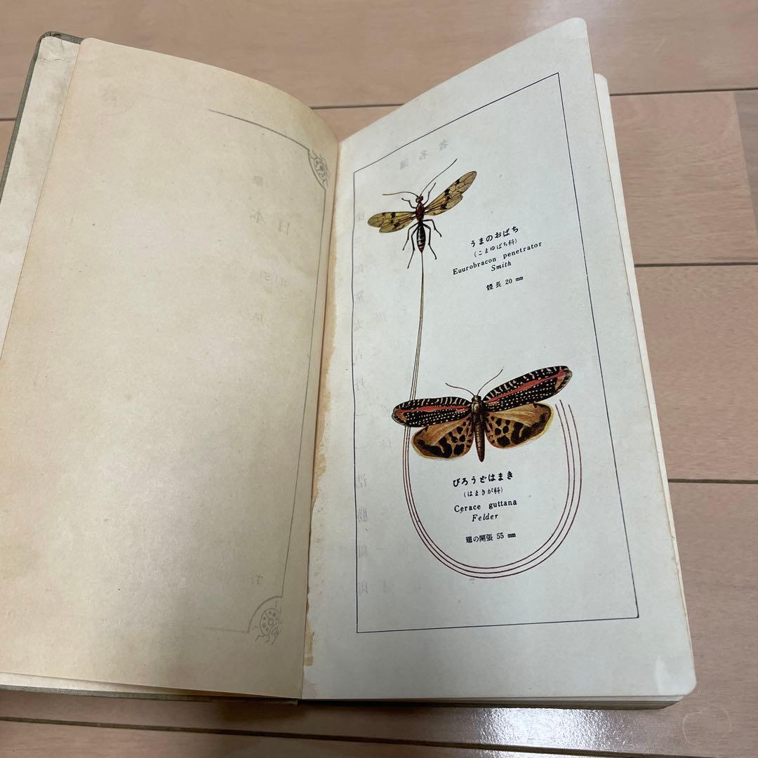 【希少】学生版 日本昆虫図鑑 昭和26年3月