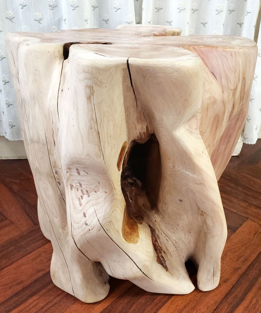 貝塚伊吹希少サイズ丸太