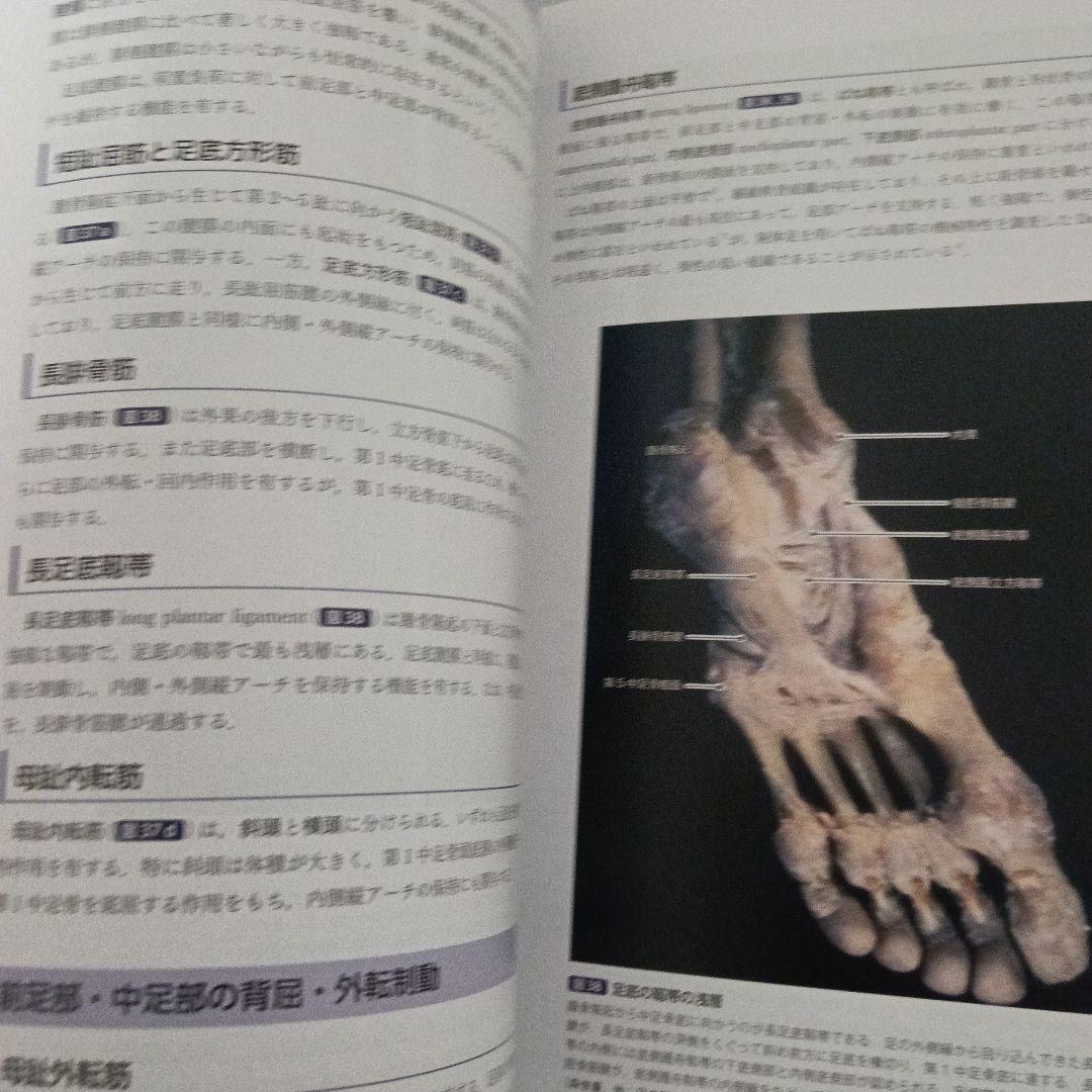 運動療法　その前に！運動器の臨床解剖アトラス