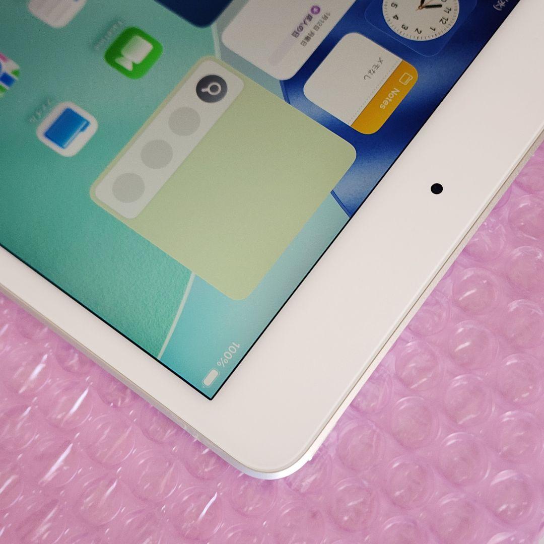 美品　iPad mini 第5世代　バッテリー良好　64GB　WiFiモデル