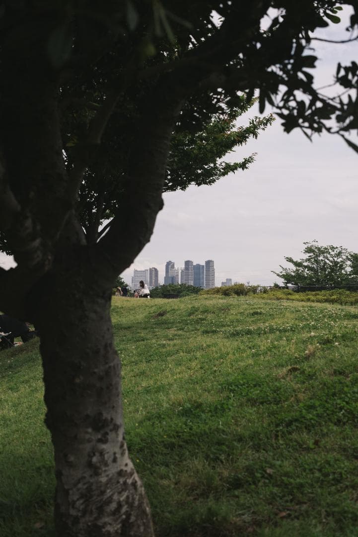 辻野様 8枚玉！Super-Takumar 50mm f1.4 前期