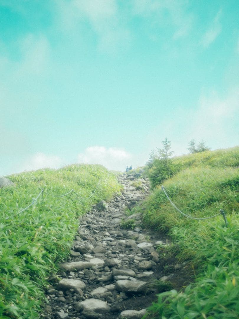 レンズ(単焦点) Leica SUMMILUX 35mm f1.4 2nd