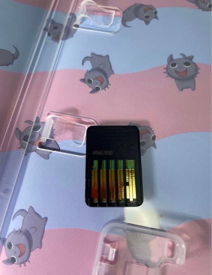 ホロライブ 湊あくあ Nintendo switch あくありうむ 生産限定版