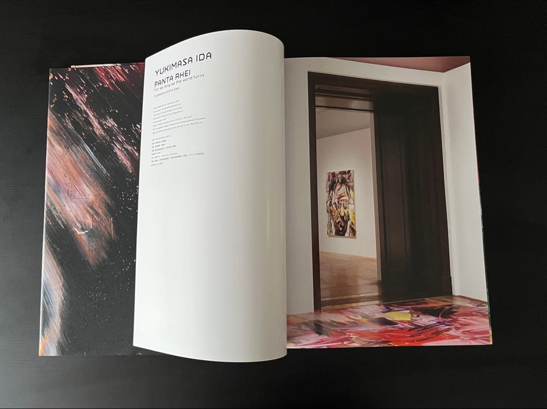 井田幸昌 PANTA RHEI 展覧会公式図録