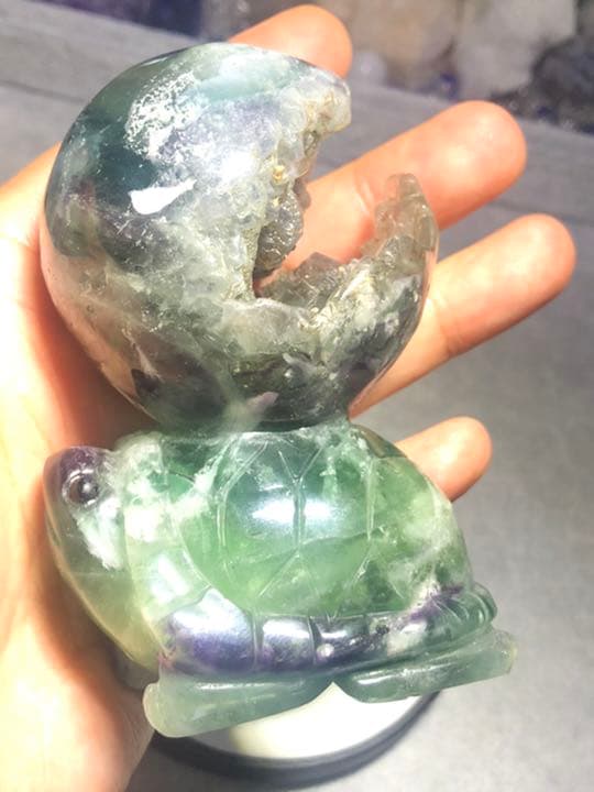 フローライト 笑口 亀